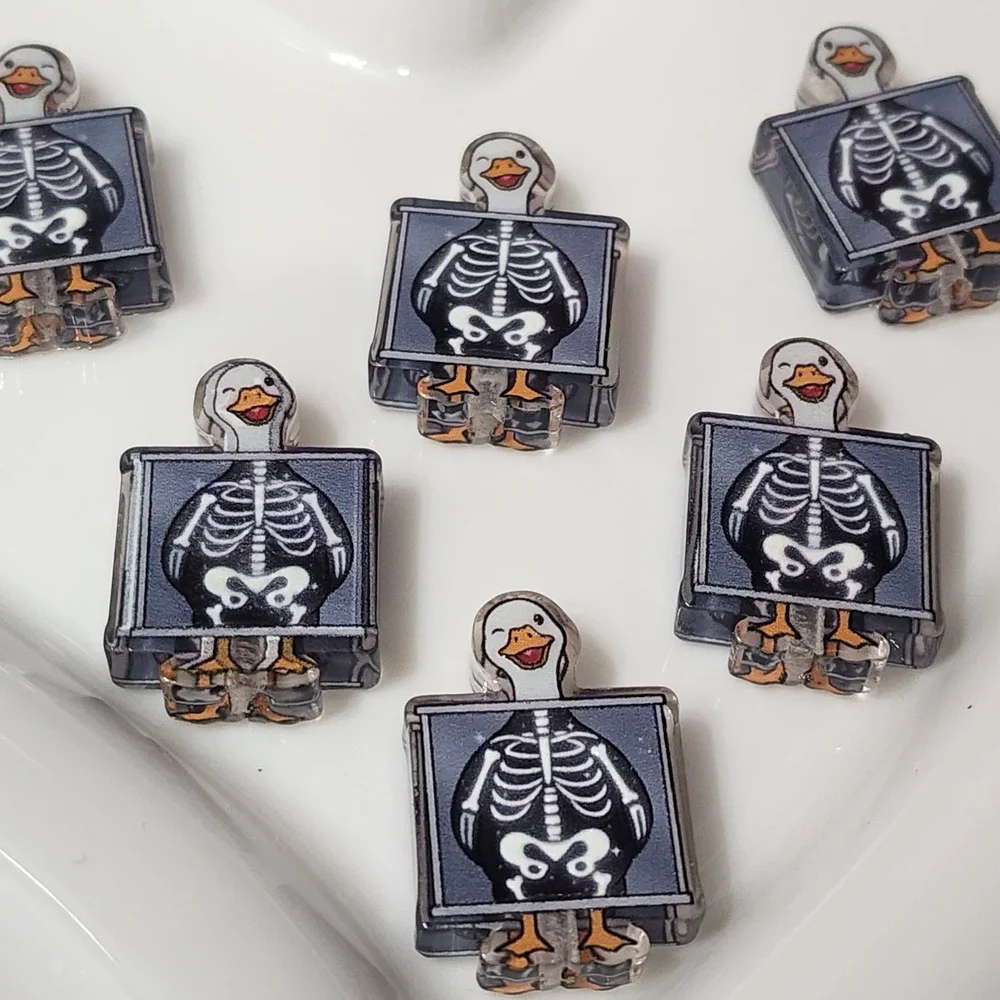 Xray Goose Beads 2 Pcs Focal Beads Beaded Pen Crafts Jewelry Making Acrylic